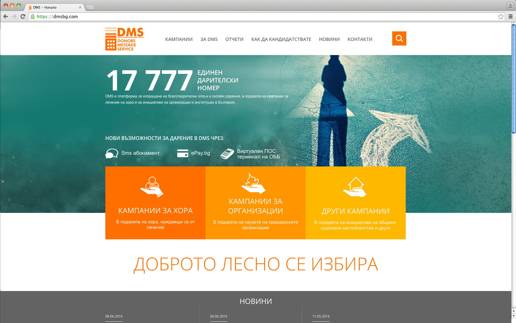 DMS bg - www-you.com